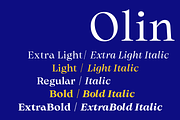 Olin, a Serif Font by Sudtipos (Thumbnail 4 of 7)