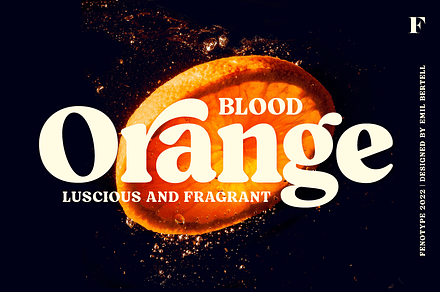 Blood Orange Vintage Serif, a Serif Font by Fenotype