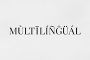 Arterio Font Family - Serif, a Serif Font by RC graphics (Thumbnail 4 of 9)