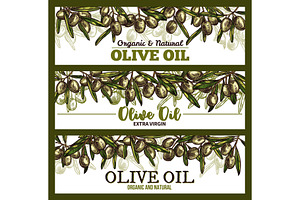 Vector Extra Vrigin Olive Oil Sketch Banners