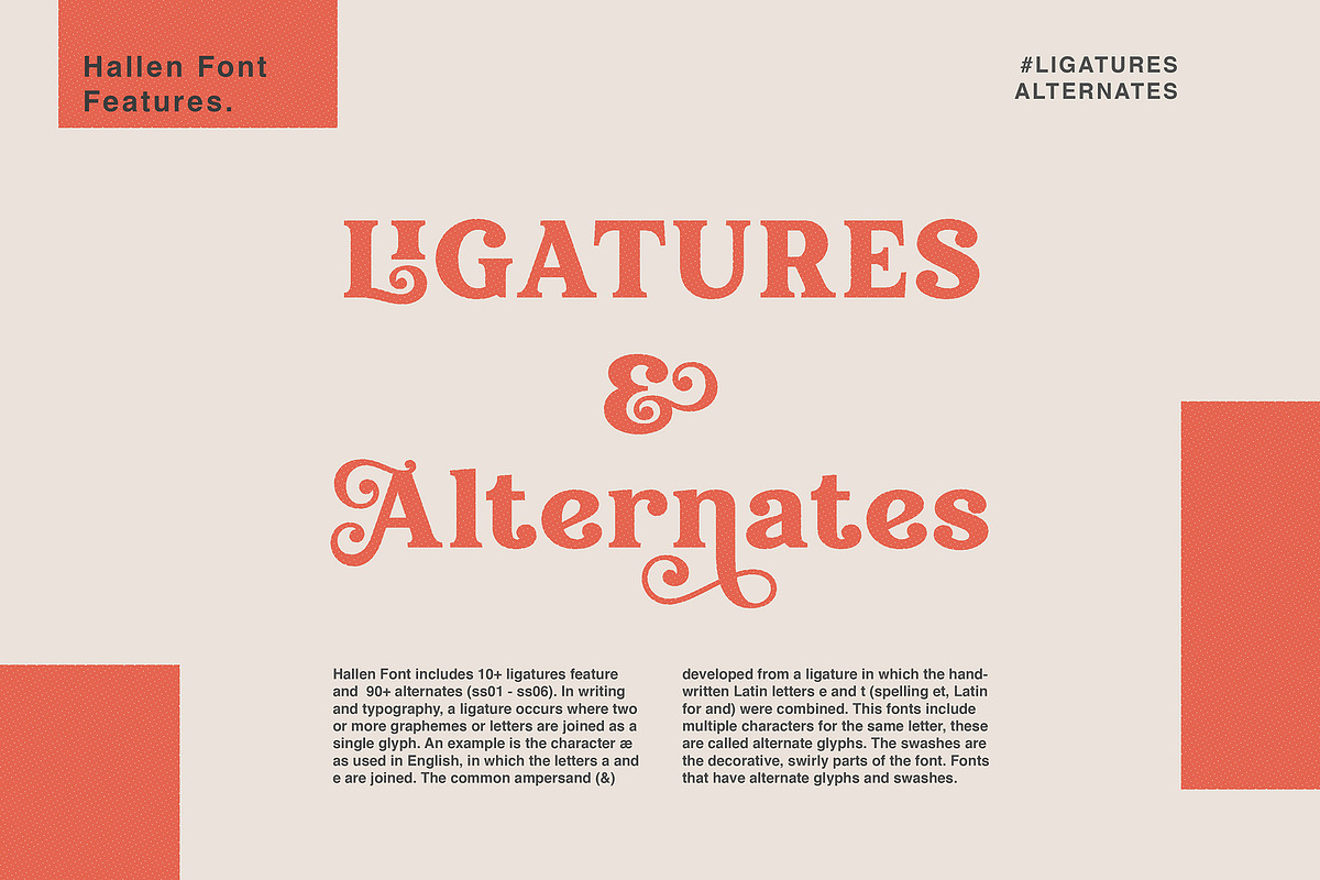 Hallen - Modern Classic Font, a Serif Font by Edignwn Type (Photo 8 of 12)