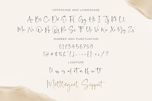 Saint Timothy - Signature Font