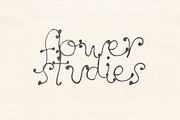 Dandelion Hand Drawn Font, a Handwritten Font by Madeline ODonoghue Design (Thumbnail 2 of 11)