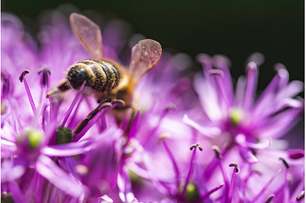 A detailed close up image showing a