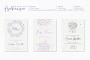 Black contour of hydrangea., a Decorative Illustration by Kotkoa (Thumbnail 2 of 8)