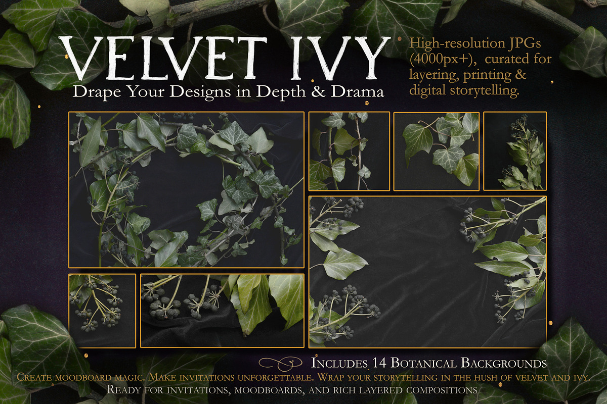 Velvet Ivy – Botanical Backgrounds |, a Background Graphic by Aga Silva (Photo 4 of 9)