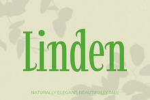 Linden - Elegant Decorative Serif