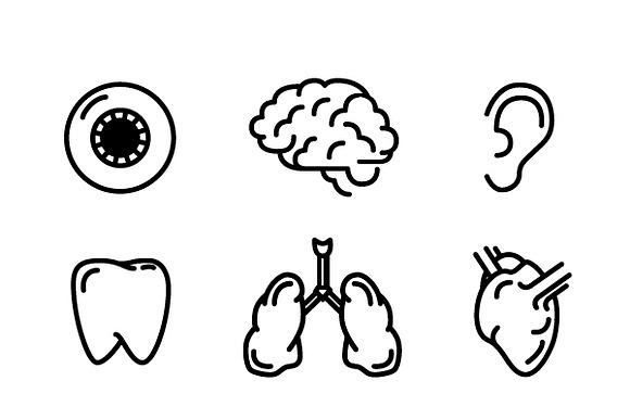 Nine Icons Of Humans Organs