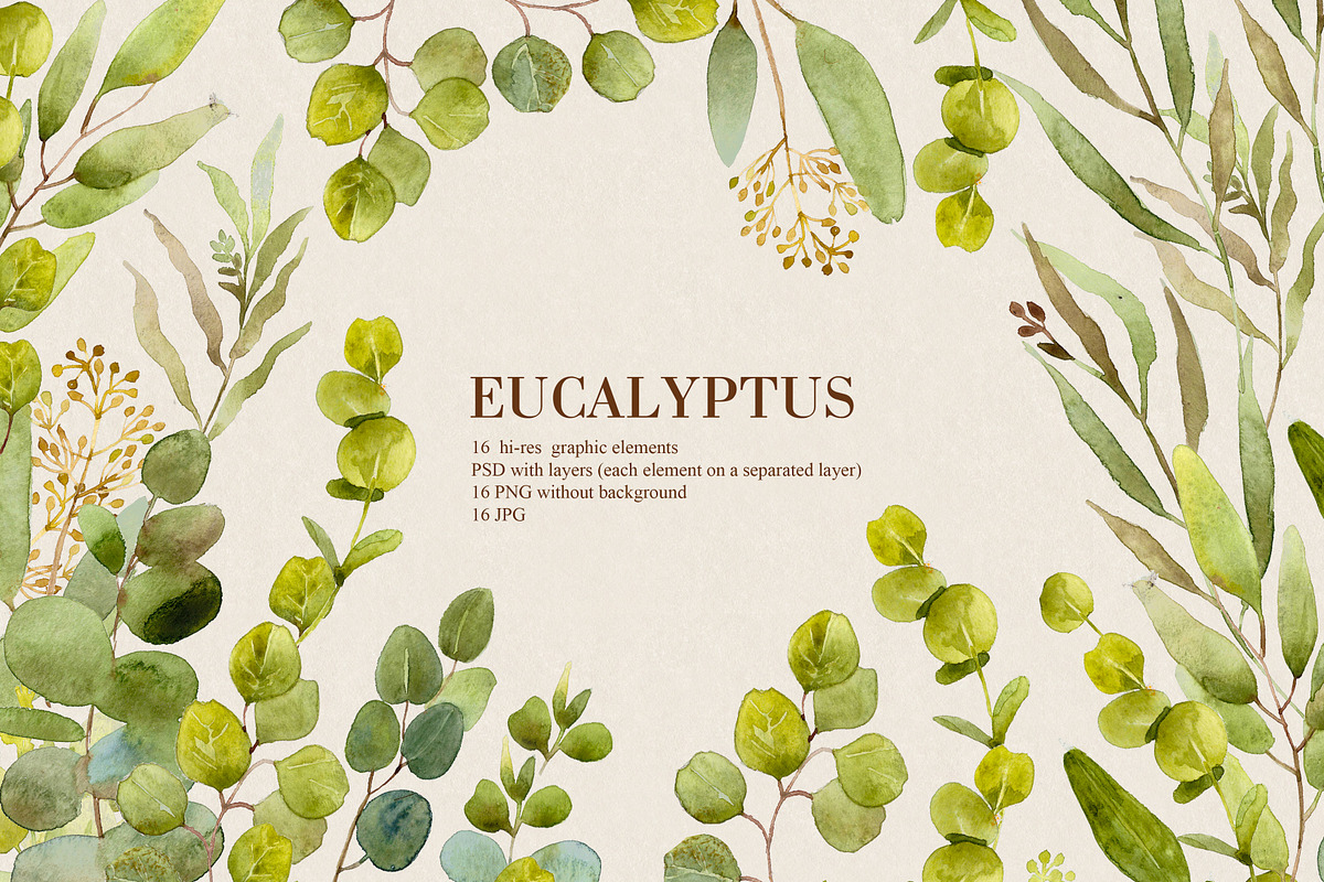 Watercolor eucalyptus greenary, a Graphic by Olesya Morokhovets (Photo 1 of 4)
