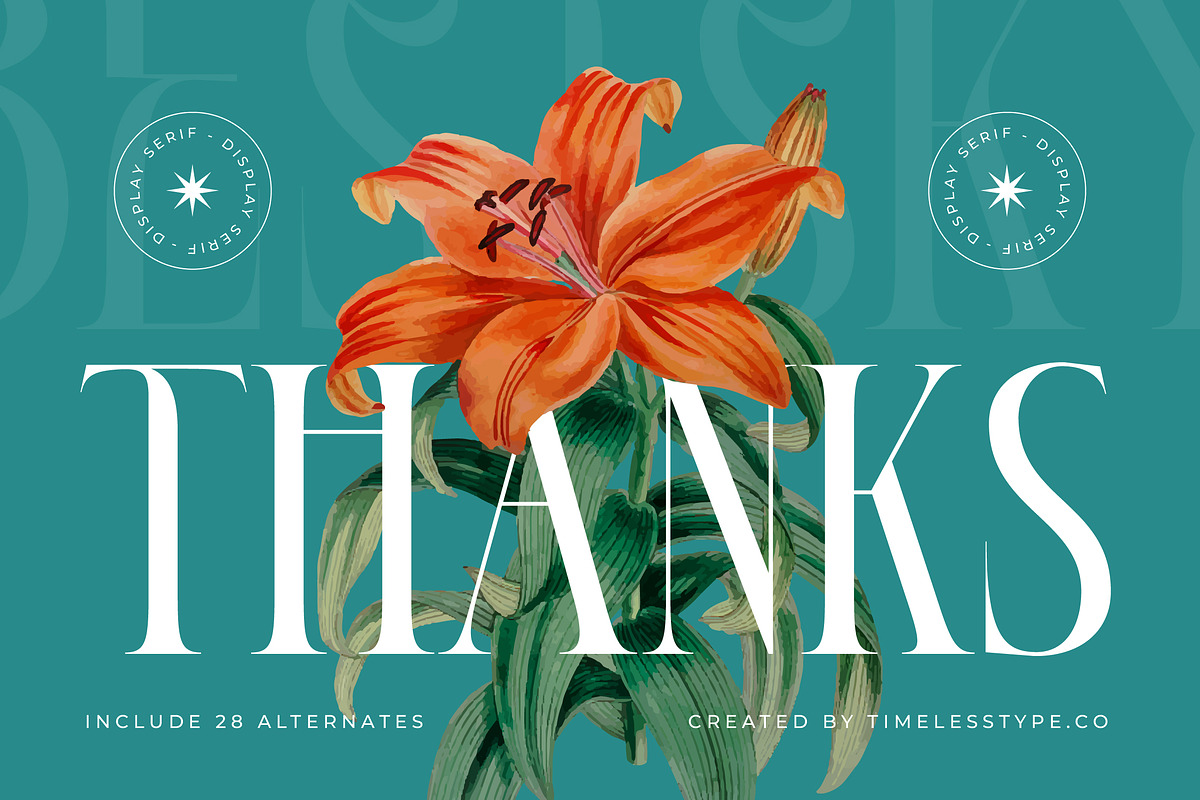 Bestsky Modern Luxury Display Serif, a Serif Font by timelesstype.co (Photo 20 of 20)
