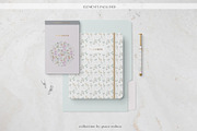 Floral Seamless Patterns & Cliparts, a Pattern Graphic by Grace Noboa Illustrations (Thumbnail 10 of 17)