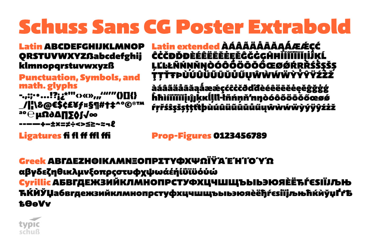 Schuss Sans CG Poster Extrabold, a Sans Serif Font by typic schuss (Photo 10 of 15)