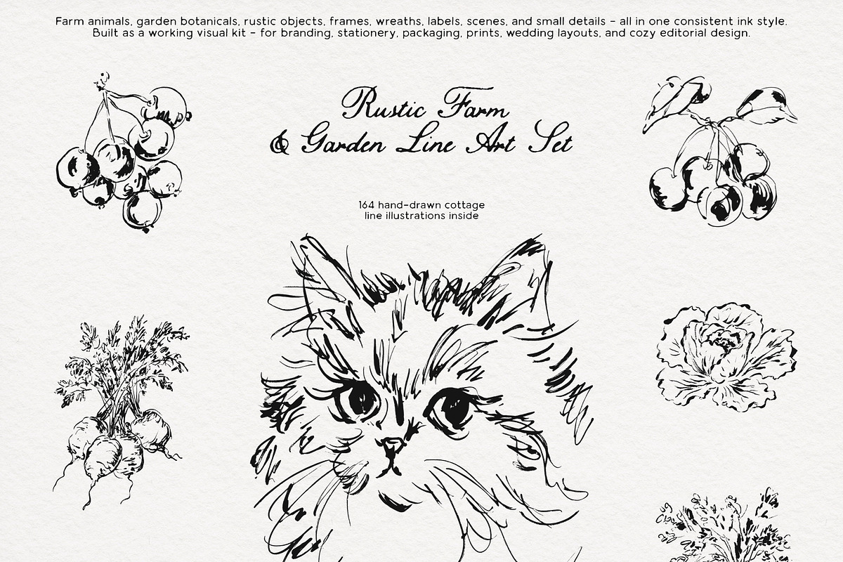 Under the Cottage Roof: Line Art, an Animal Illustration by Purple (Photo 8 of 16)