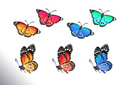 Summer Meadow, an Animal Illustration by Daria Ustiugova (Thumbnail 4 of 6)