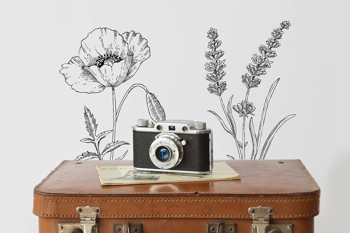 40 Vintage Floral Illustrations, an Illustration by Hatch Design Workshop (Photo 12 of 15)