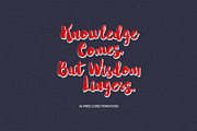 Winter Brush, a Script Font by Barland Design (Thumbnail 2 of 9)