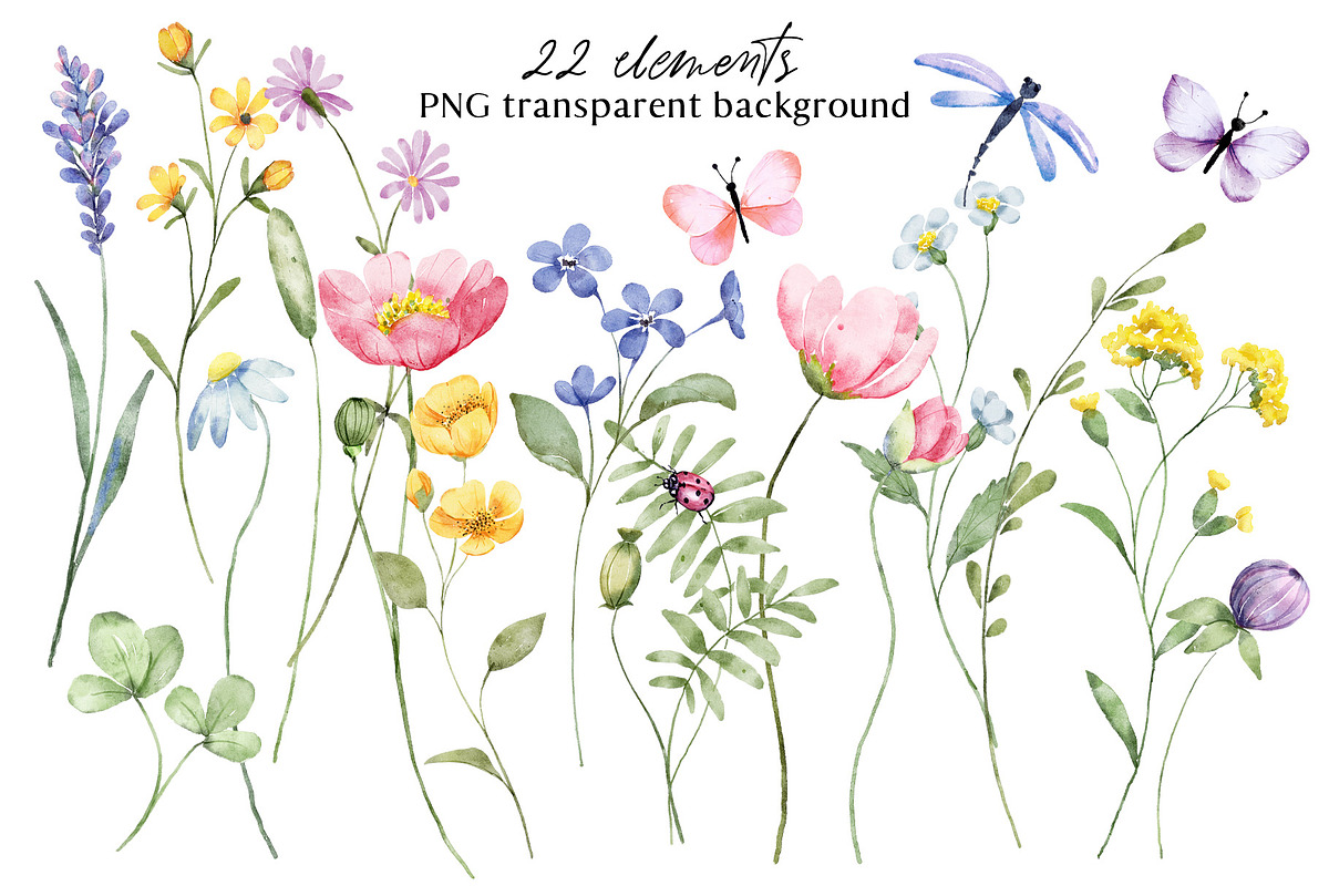 Wild flowers, butterflies, dragonfly, a Decorative Illustration by Larisa Maslova (Photo 2 of 9)