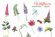 Summer Watercolor Wild Flowers, a Seasonal Illustration by s.yanyeva (Thumbnail 3 of 11)