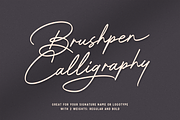 Bradford Signature, a Handwritten Font by Hendra Pratama (Thumbnail 3 of 13)