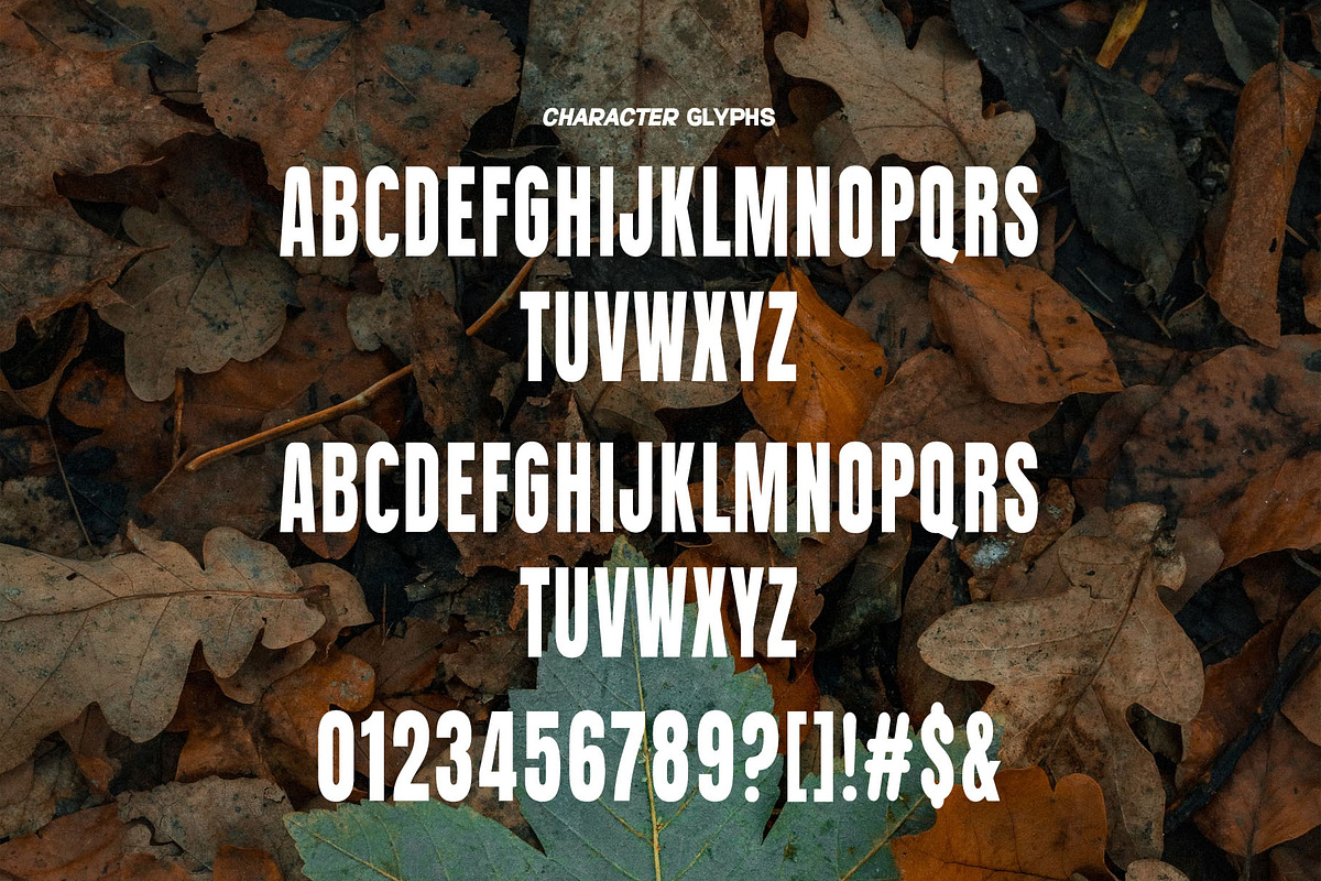 Queenista Sans Serif Font Typeface, a Sans Serif Font by Graphicxell (Photo 5 of 5)