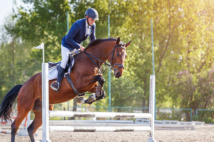 Young sportsman riding horse bounding over obstacle on showjumping competition, a Sports & Recreation Photo by serkum