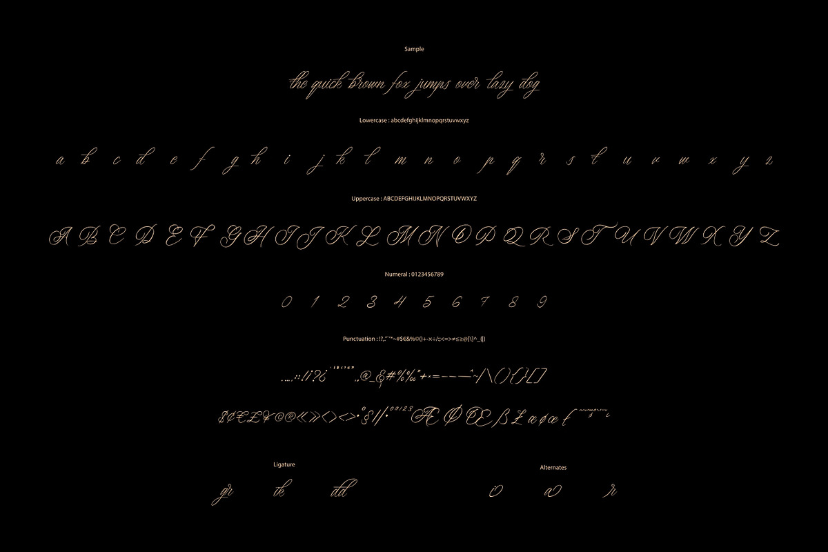 Renddonika - Modern Calligraphy, a Script Font by VUNIRA (Photo 2 of 6)