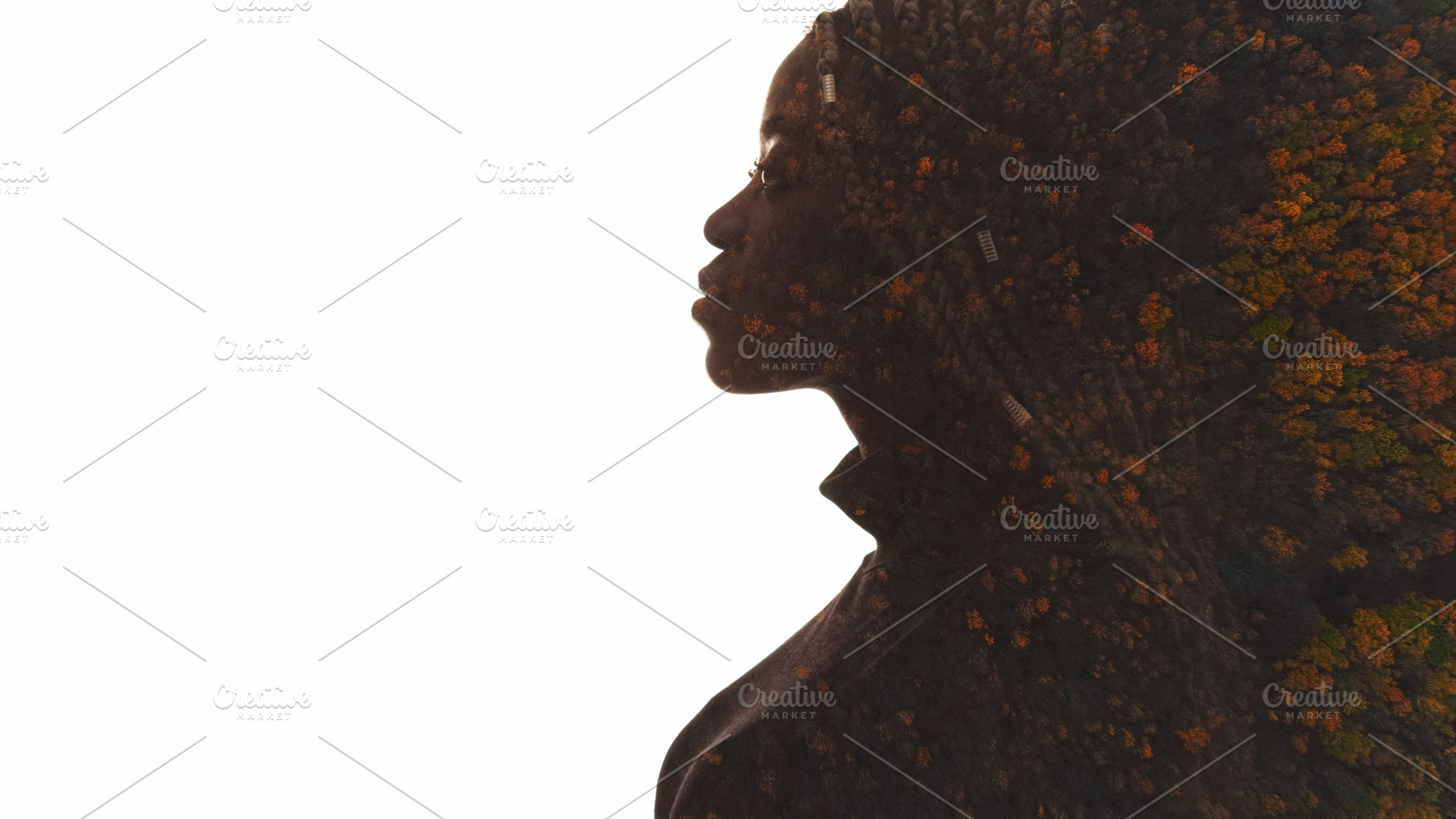 Nature conscious ecology silhouette forest woman, a Person Photo by Photo Drive Studio