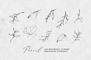 Fine Art Leaves Sketch& Illustration, a Decorative Illustration by WalaPalette (Thumbnail 3 of 5)