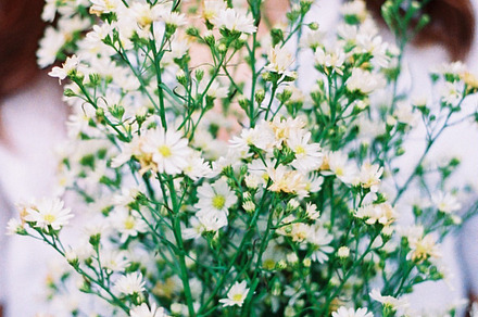 Bouquet of flower in hand containing hand, holding, and bouquet preview 6