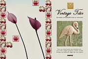 Vintage Tiles: Frames, Backgrounds, an Object Graphic by Purple (Thumbnail 10 of 12)
