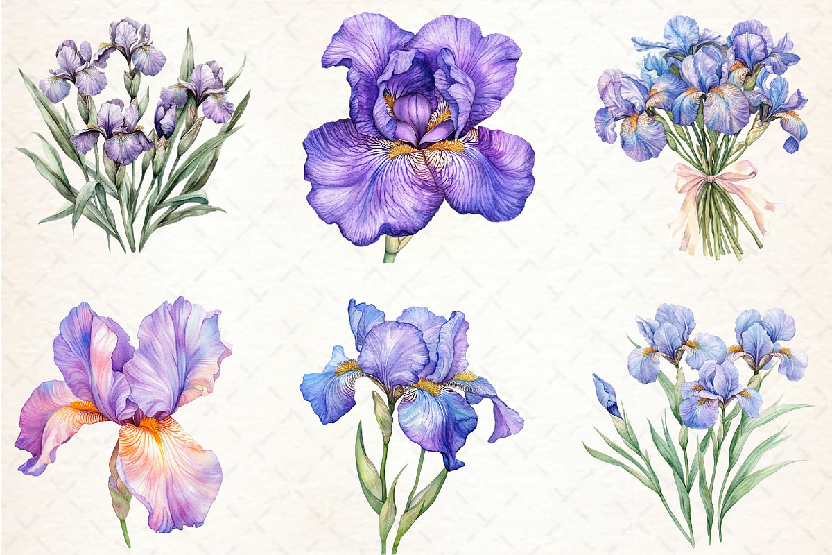Watercolor Iris Flower Clipart Bundl, an Illustration by Libby Wishes (Photo 3 of 6)