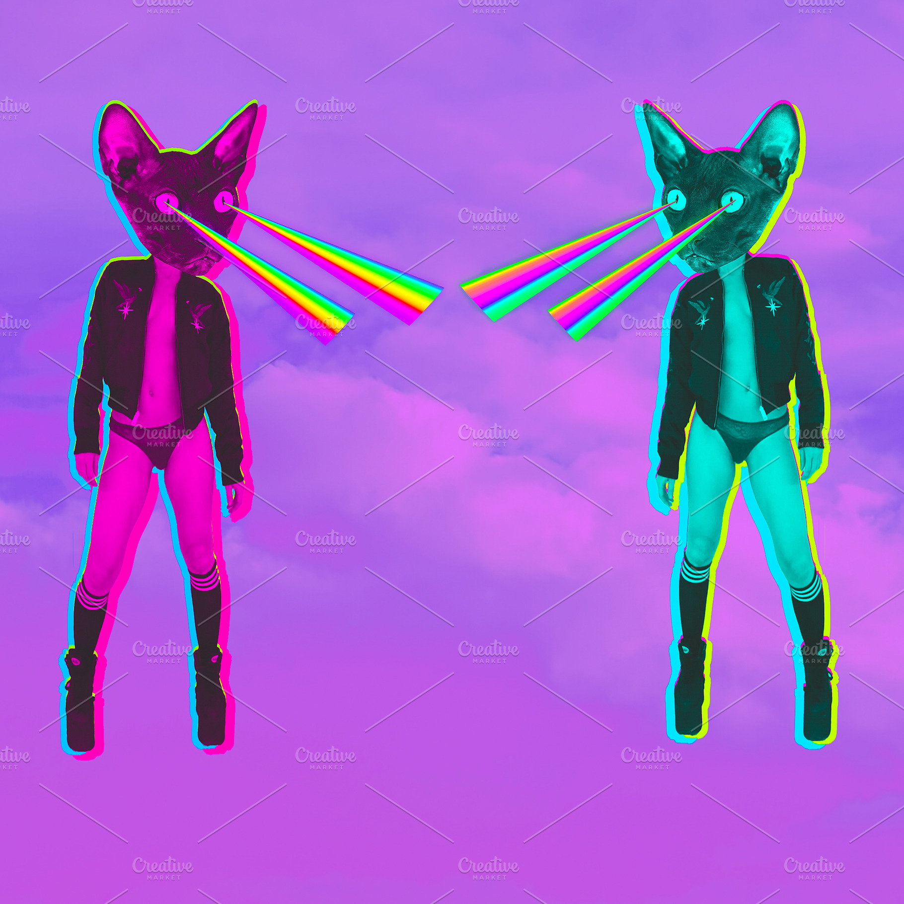 Fashion hipster Cats with rainbow la, a Beauty & Fashion Photo by Jenya Porechenskaya