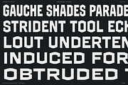 GW Grayback Variabel Width, a Sans Serif Font by Goodwheel Studio (Thumbnail 8 of 9)