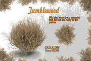 Tumbleweed, an Environmental 3D Model by AndrewWhite (Thumbnail 2 of 9)
