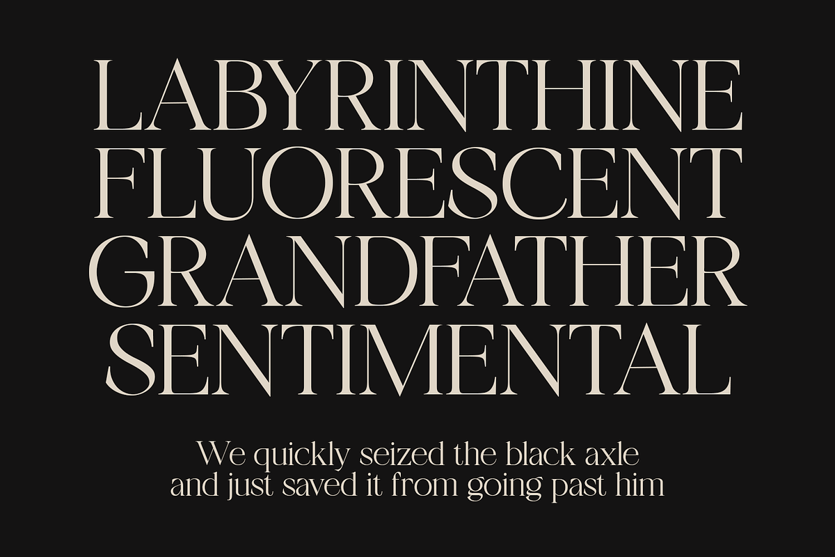 Tangier - Classy Modern Serif, a Serif Font by Viswell (Photo 8 of 12)