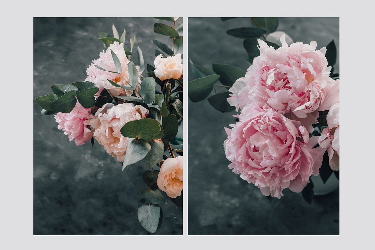 Pink Peonies Collection, an Arts & Entertainment Photo by Anntuan (Photo 6 of 10)