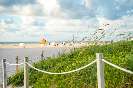 Pathway to the beach in Miami, a Nature Photo by Maria Kray