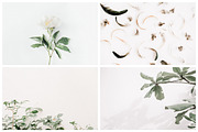 Aesthetic Pastel Styled Stock Photos, a Background Photo by Floral Deco (Thumbnail 10 of 39)