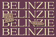 Belinzie Rough, a Serif Font by Craft Supply Co. (Thumbnail 1 of 8)