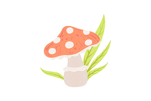 Amanita Muscaria Forest Mushroom