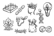 Eco Living Doodle Elements Set, an Object Graphic by Design by Irihaha (Thumbnail 2 of 4)
