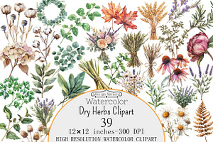 Watercolor Dry Herbs Clipart, a Seasonal Illustration by Design Market