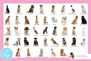 Dogs + Cats Vector Bundle, an Animal Illustration by Lauren Lesley Studio (Thumbnail 4 of 4)