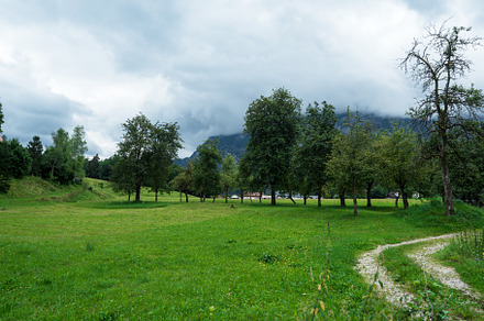 nature, alpine air. forest and mountains