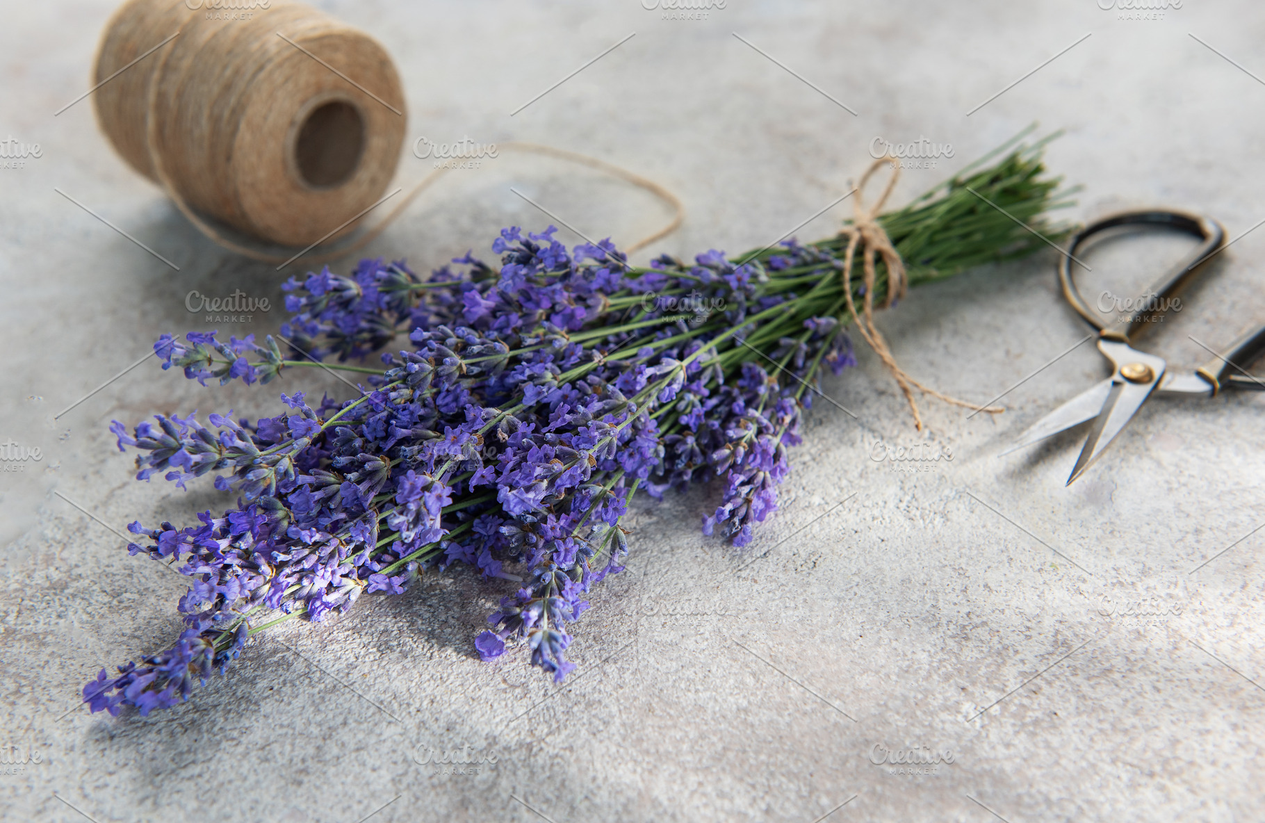 Fresh lavender bunch with scissors and twine preparing, a Nature Photo by Olena Rudo