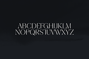 Espial typeface - 36 fonts, a Sans Serif Font by VP Fonts (Thumbnail 10 of 22)