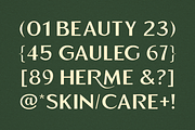 Emerald Crown - Stylish Sans, a Sans Serif Font by Fikryal Studio (Thumbnail 10 of 12)