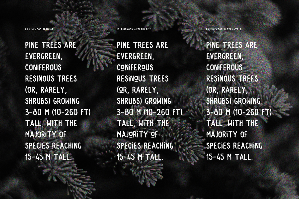 Pinewood - Handpainted Rustic Sans, a Font by Harmonais Visual (Photo 10 of 16)