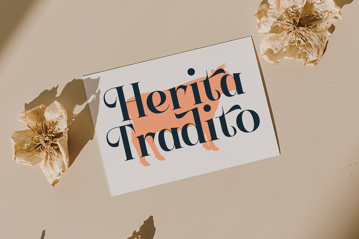 Keylag Borden Modern Serif, a Serif Font by timelesstype.co (Photo 8 of 20)