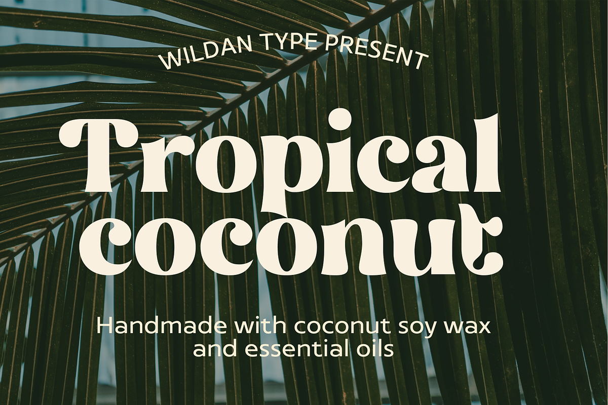 Miskan, a Serif Font by Wildan Type (Photo 5 of 7)